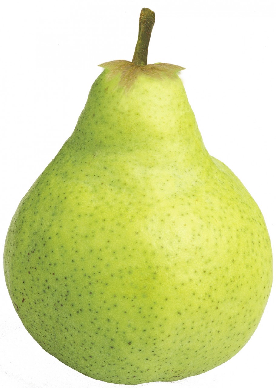 Pera oferta
